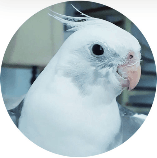 Tierkommunikation, www.tiere-finden.de Fallbeispiel 