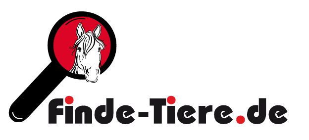 Tierkommunikation Suche Tiere verlorene Tiere wiederfinden